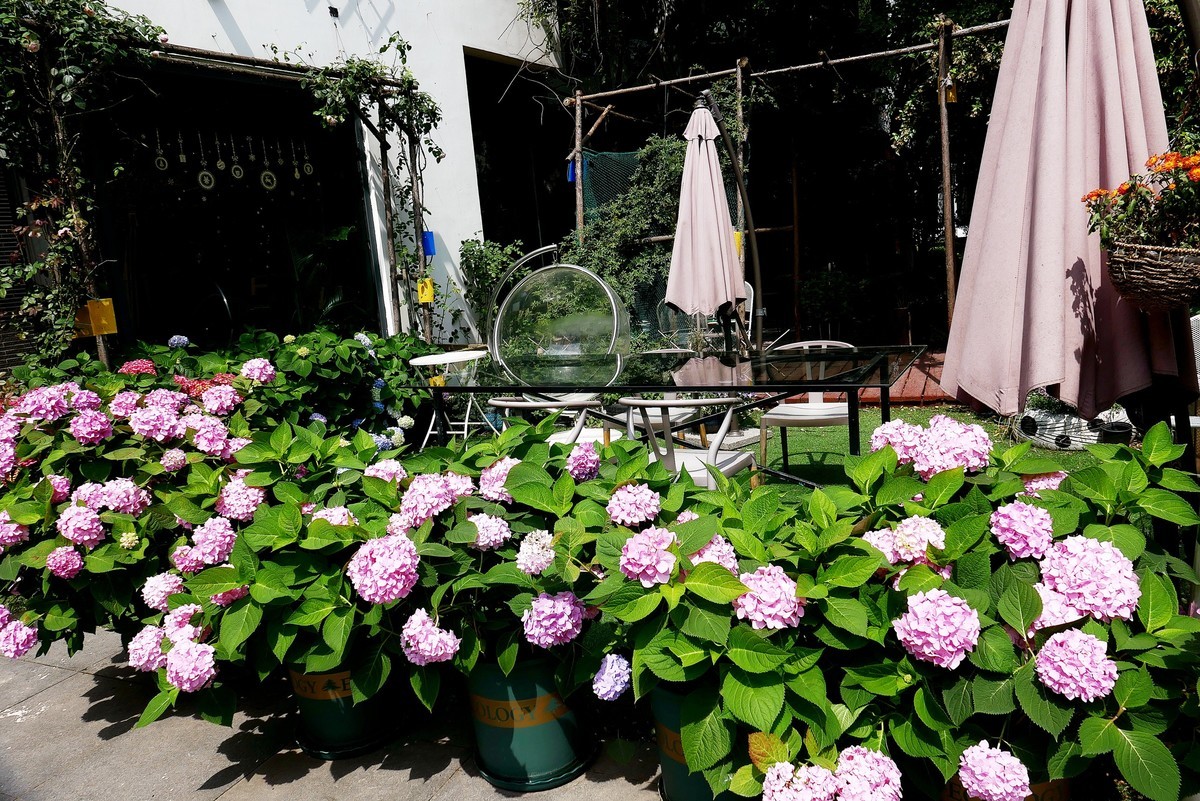 武汉映像---武汉创意天地拾影！