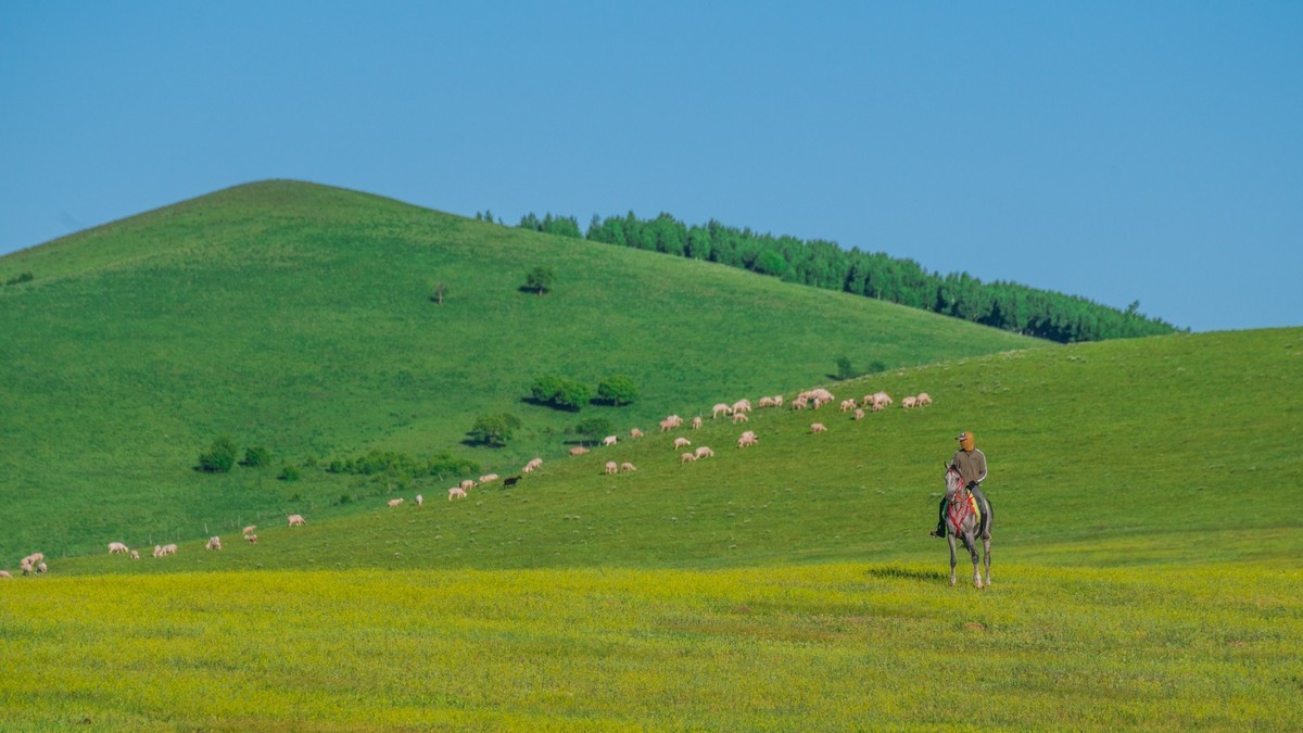 21.6 夏日的草原（九）------绿绿的草原，休闲的景色