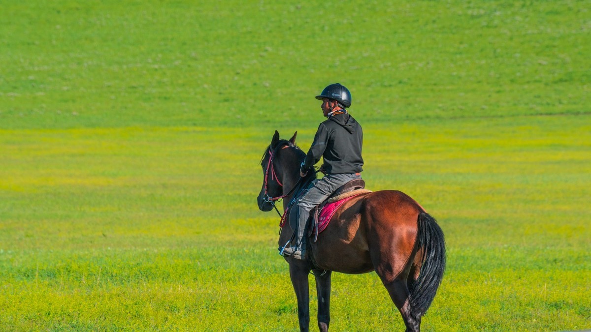 21.6 夏日的草原（九）------绿绿的草原，休闲的景色