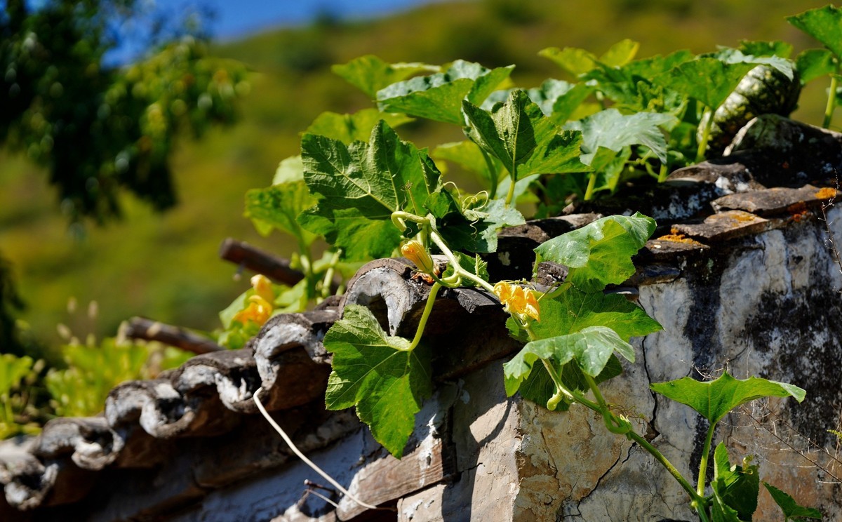 秀水举人村和爨底下村掠影