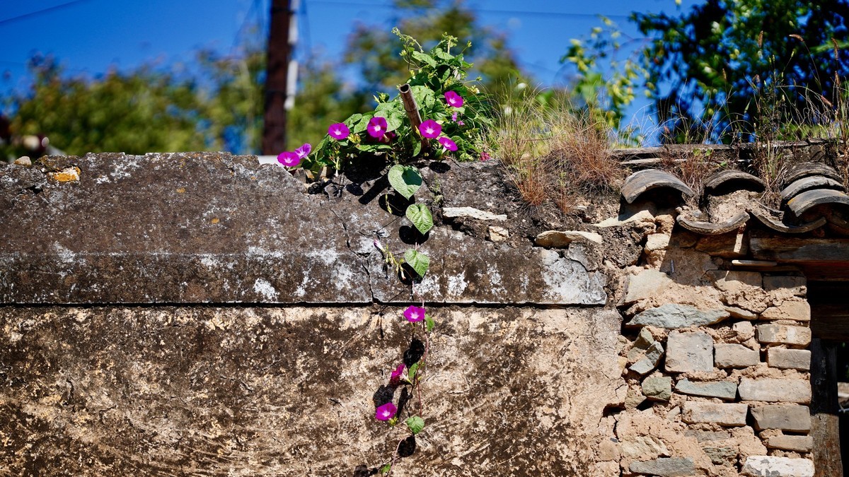 秀水举人村和爨底下村掠影