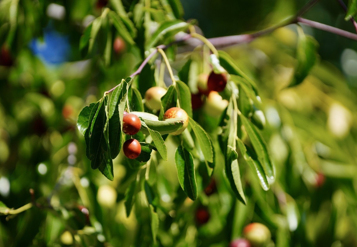 秀水举人村和爨底下村掠影