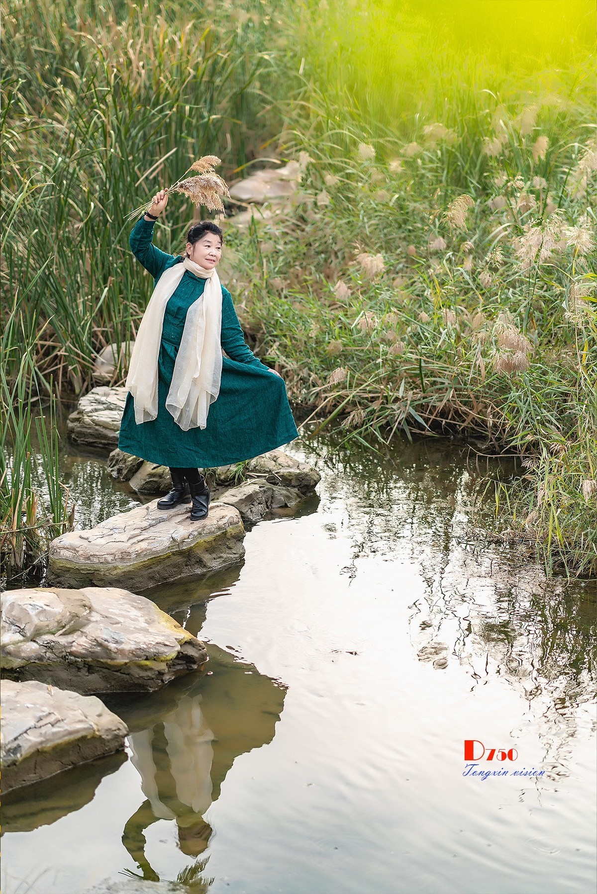 #留住美丽秋天# ——芦花美