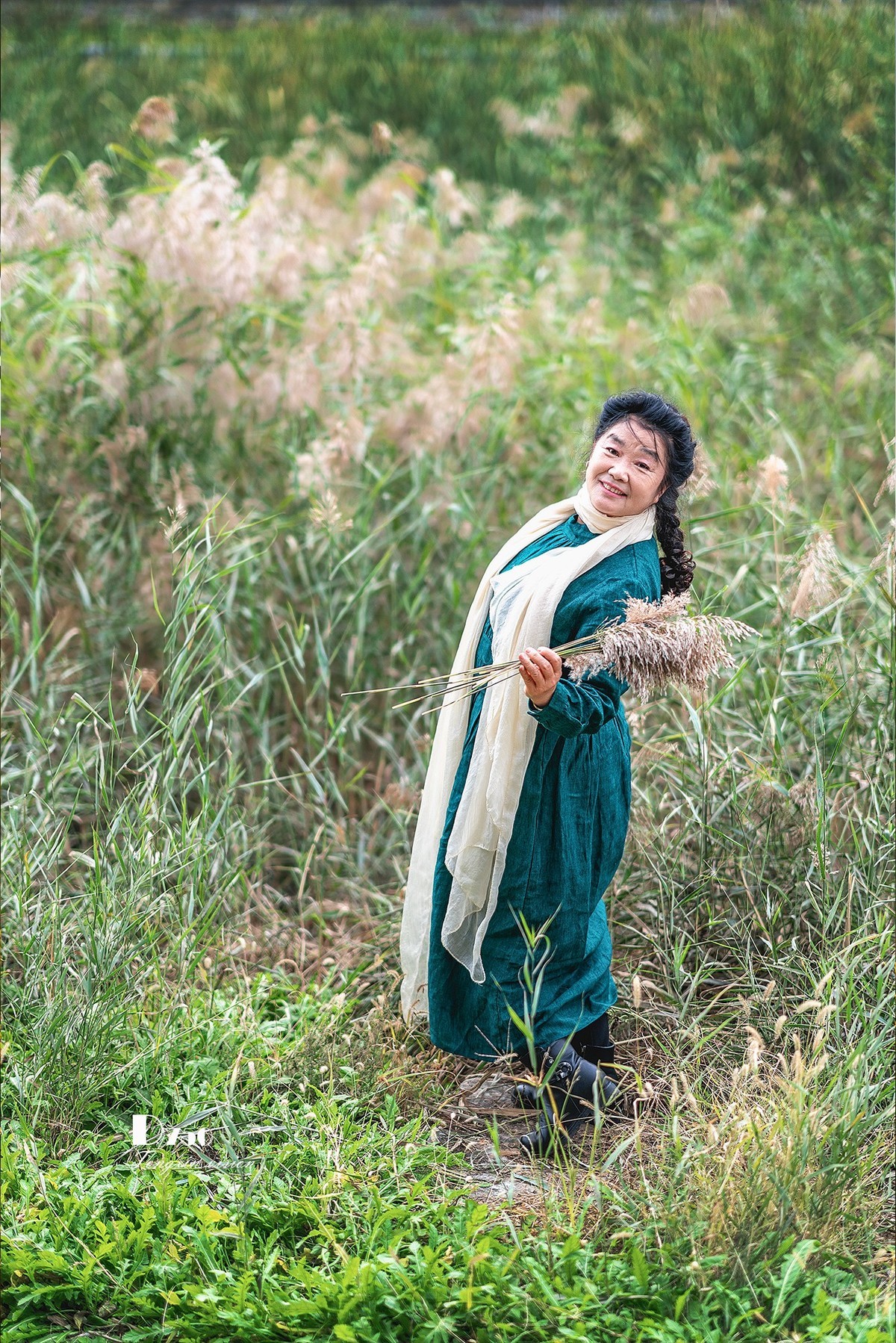 #留住美丽秋天# ——芦花美