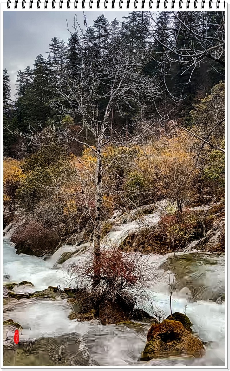 2023年-九寨沟风光抓拍-1015