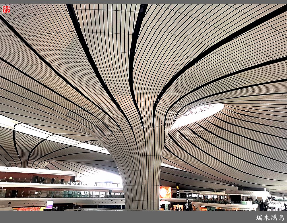 【印象潮汕】1.出发篇，大兴国际机场掠影