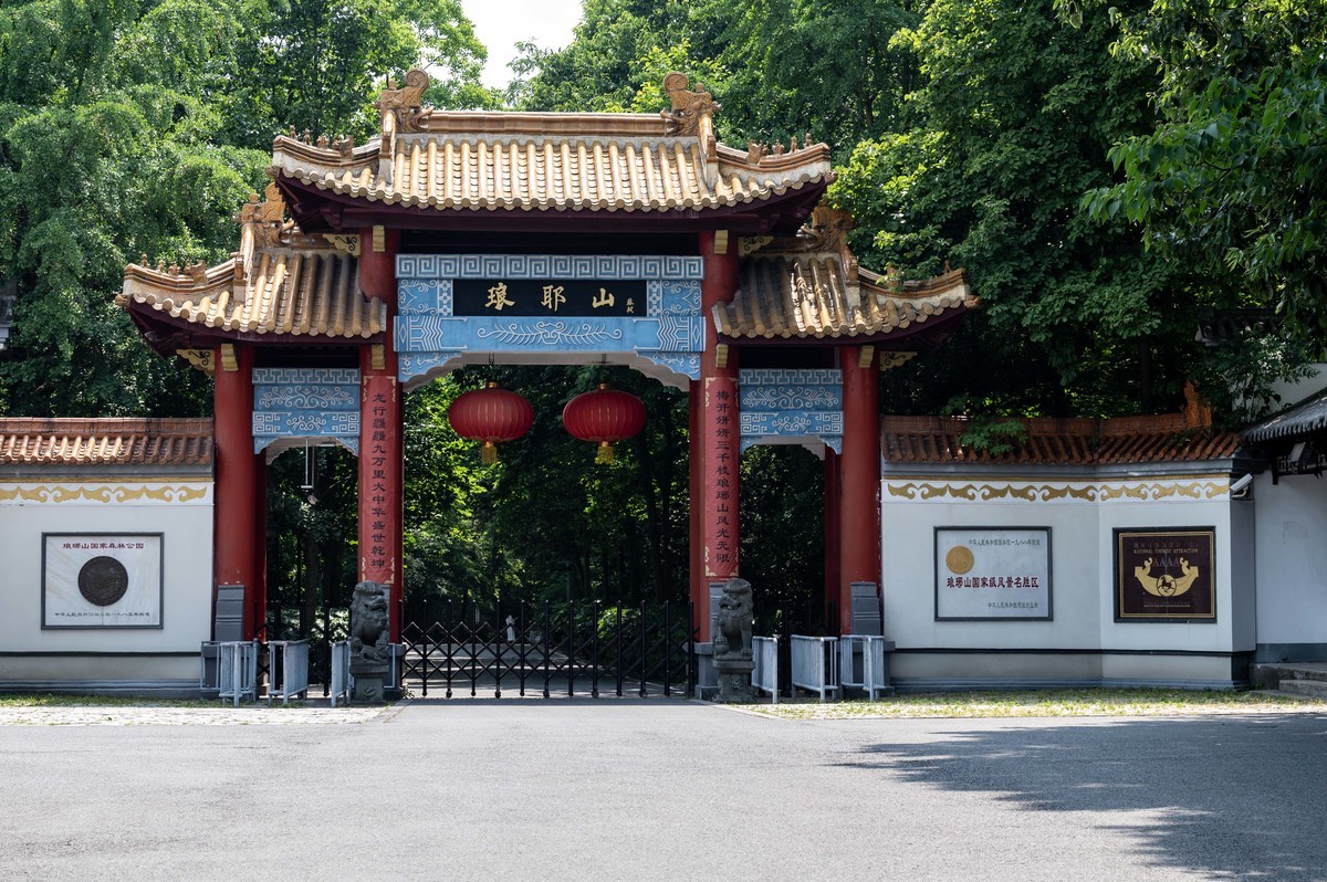 庐州印象（351）