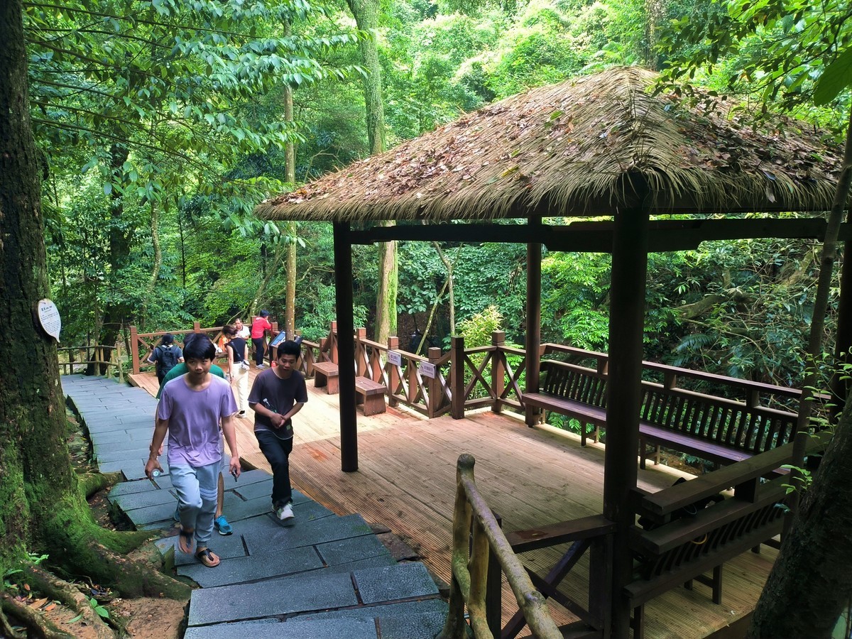 手机随拍鼎湖山（三）