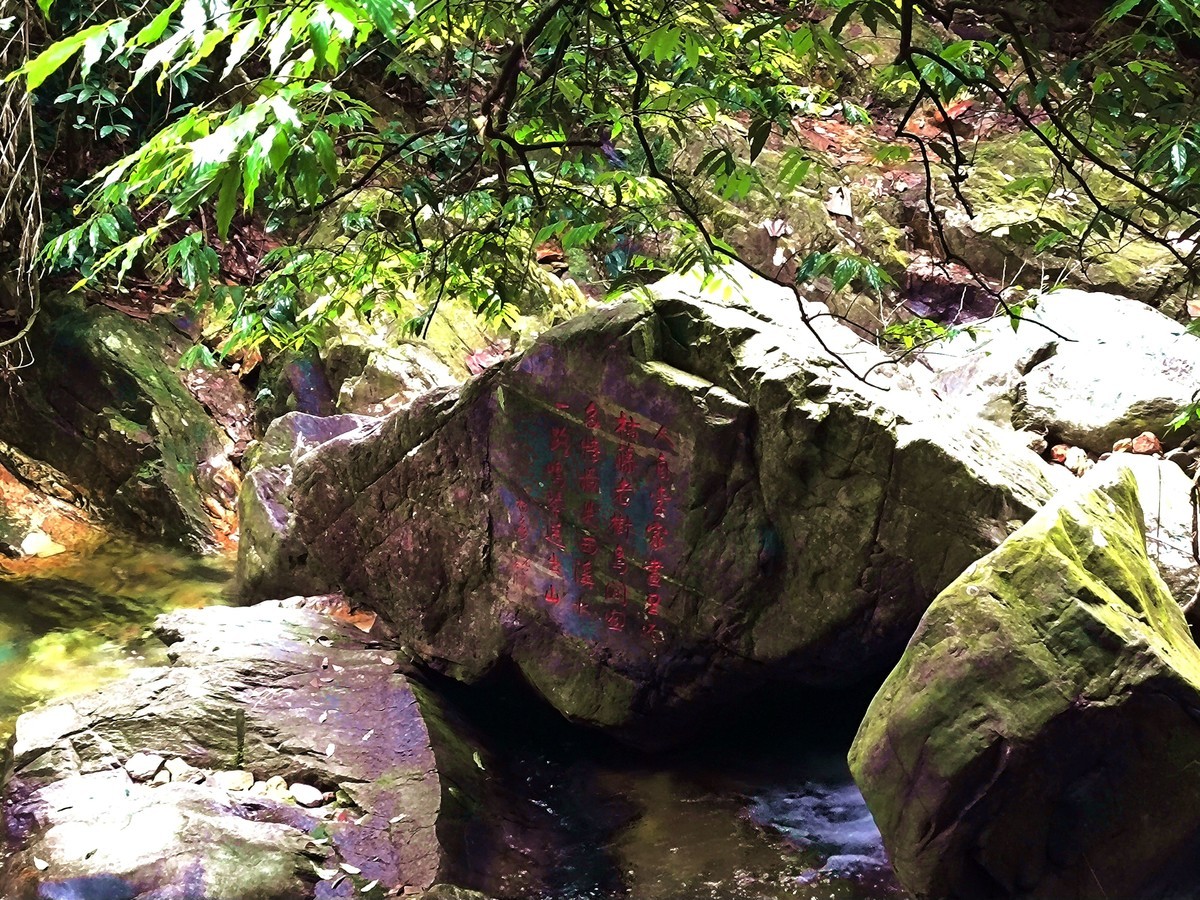 手机随拍鼎湖山（三）