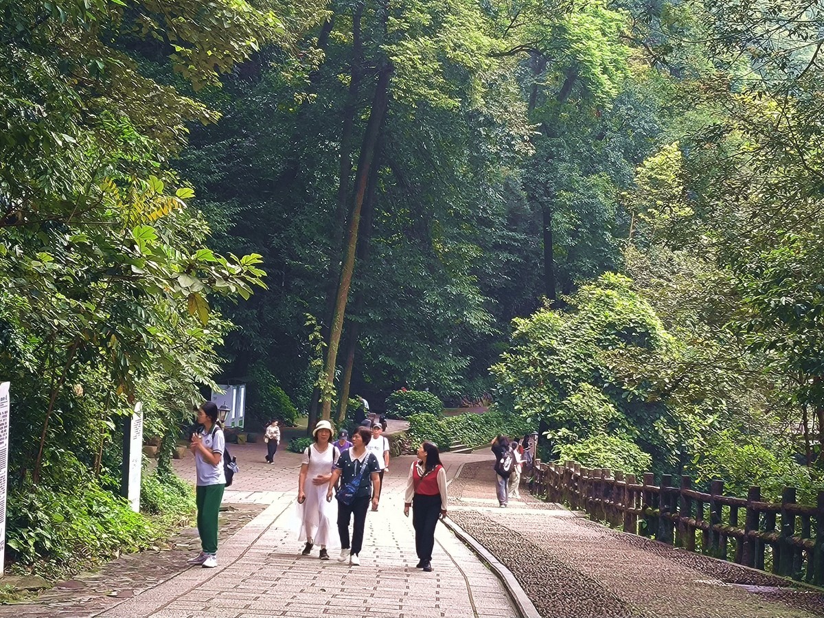 手机随拍鼎湖山（三）