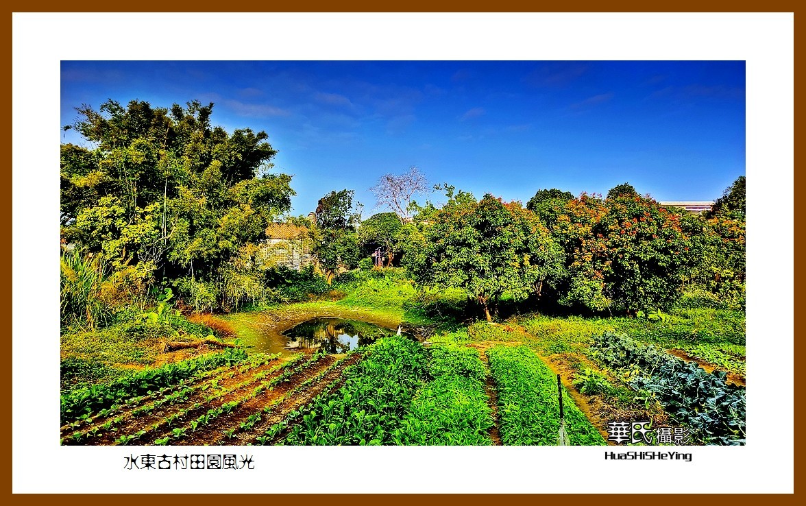 2022南行慢游（广东025）—-水东古村田园风光（云浮市）