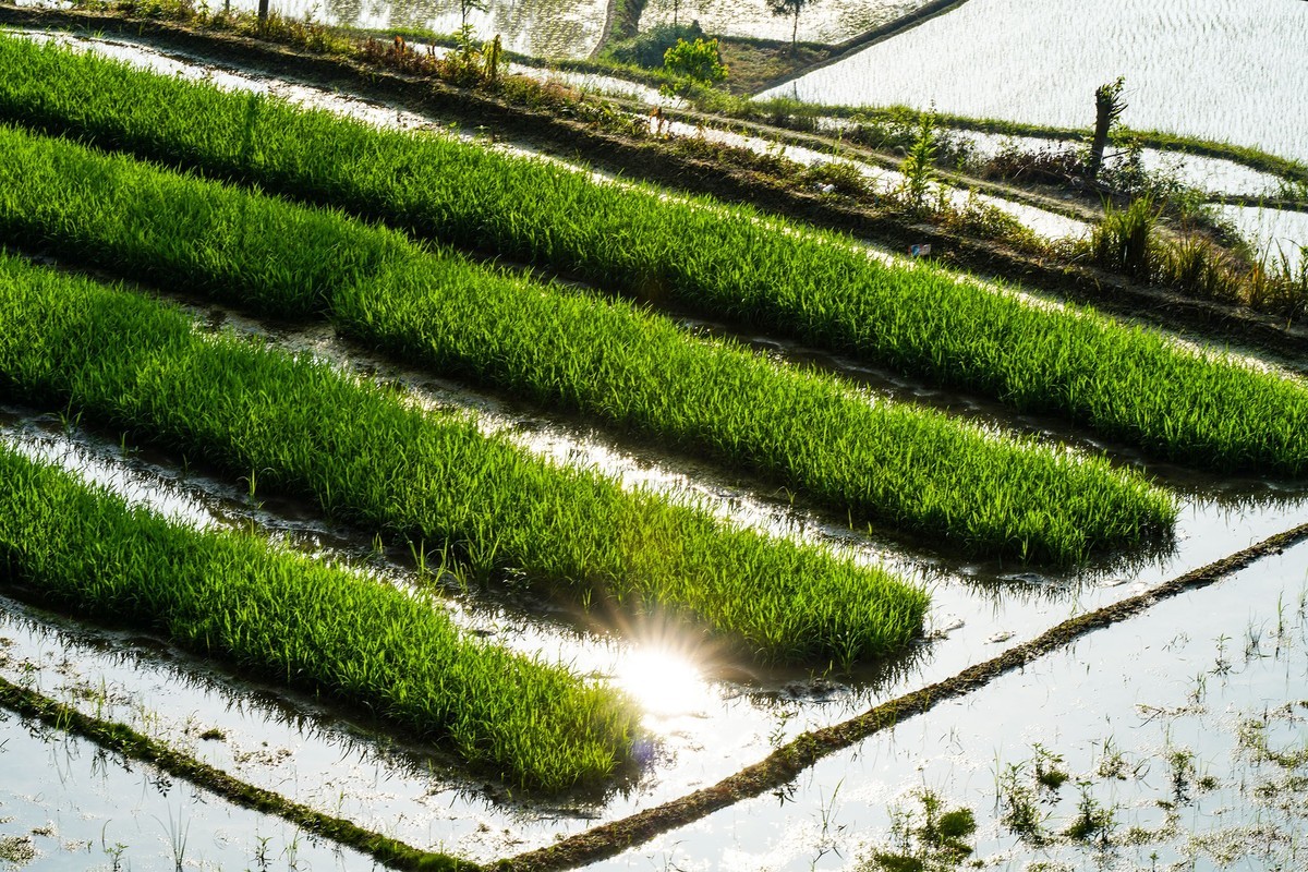 在希望的田野上-3