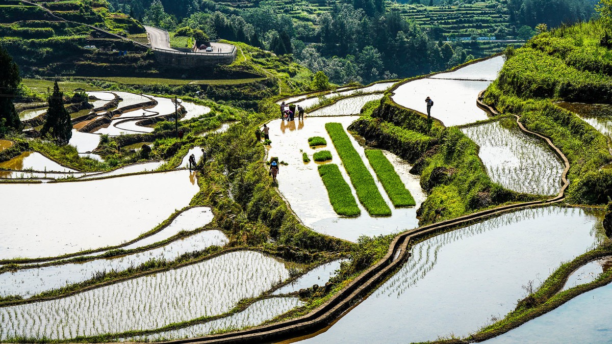 在希望的田野上-3