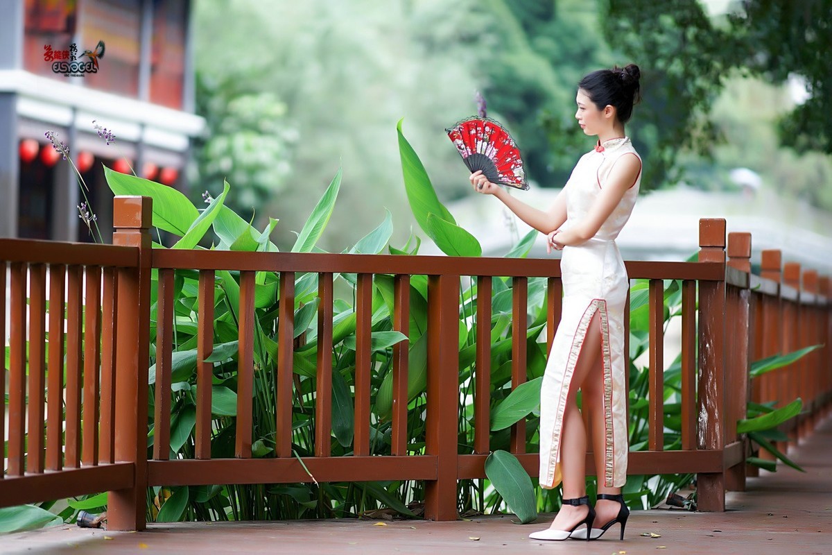 【荔湖淑女】-----小鱼