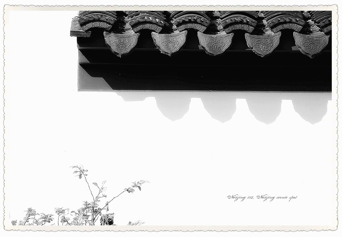 三季度随拍汇总