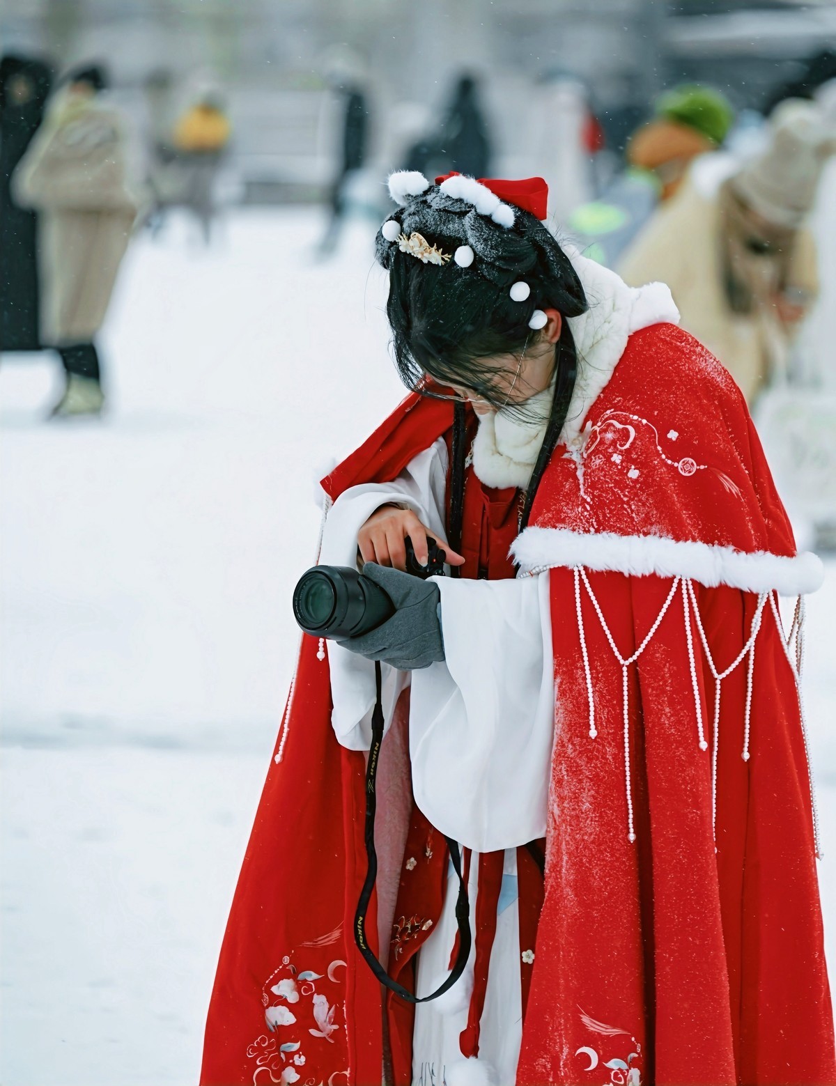 雪中游走故宫博物院20231214 《16》