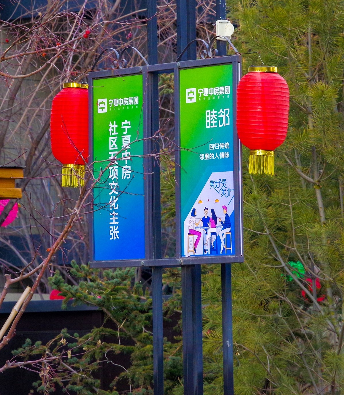 多年以后又娶回来了你！