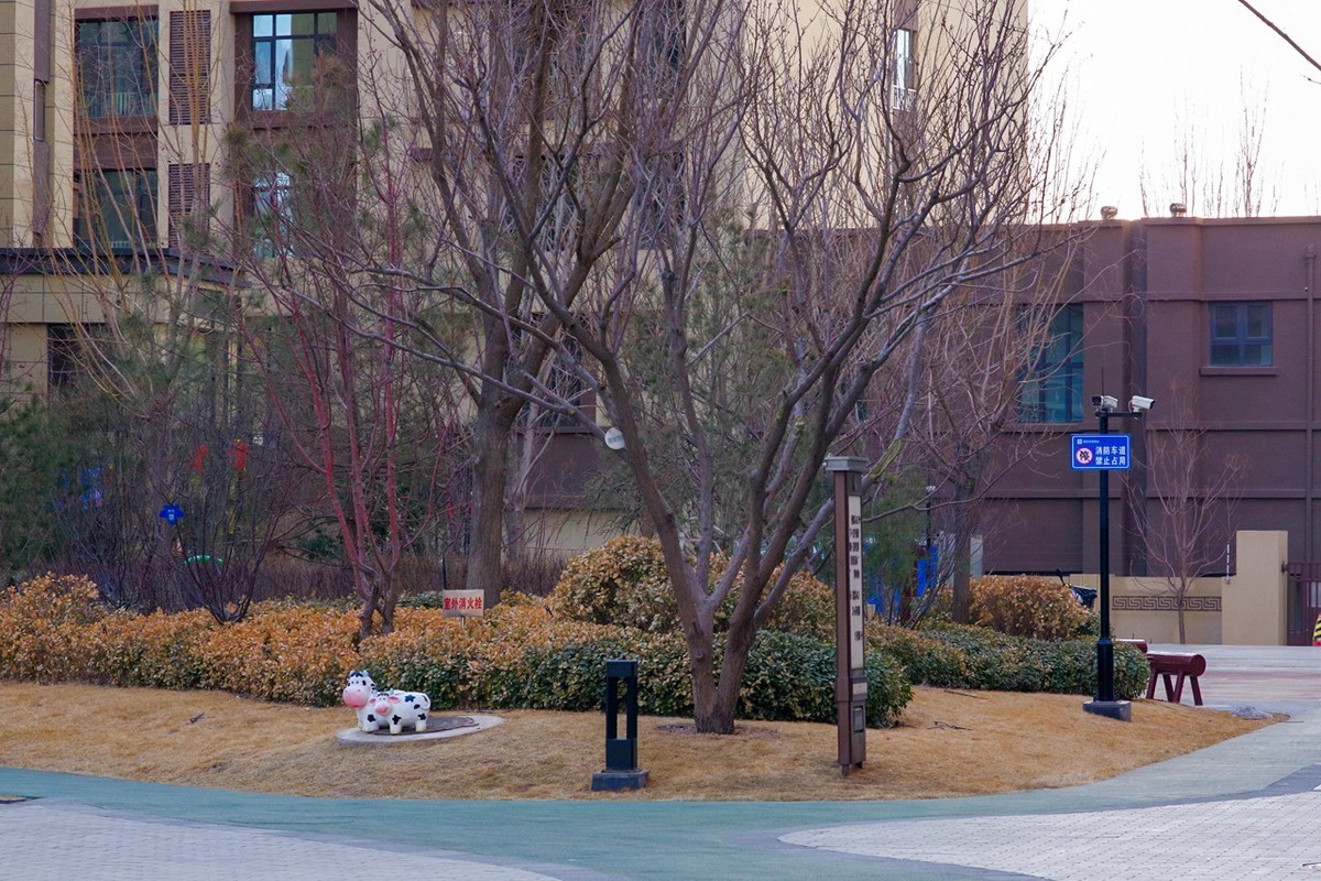 多年以后又娶回来了你！