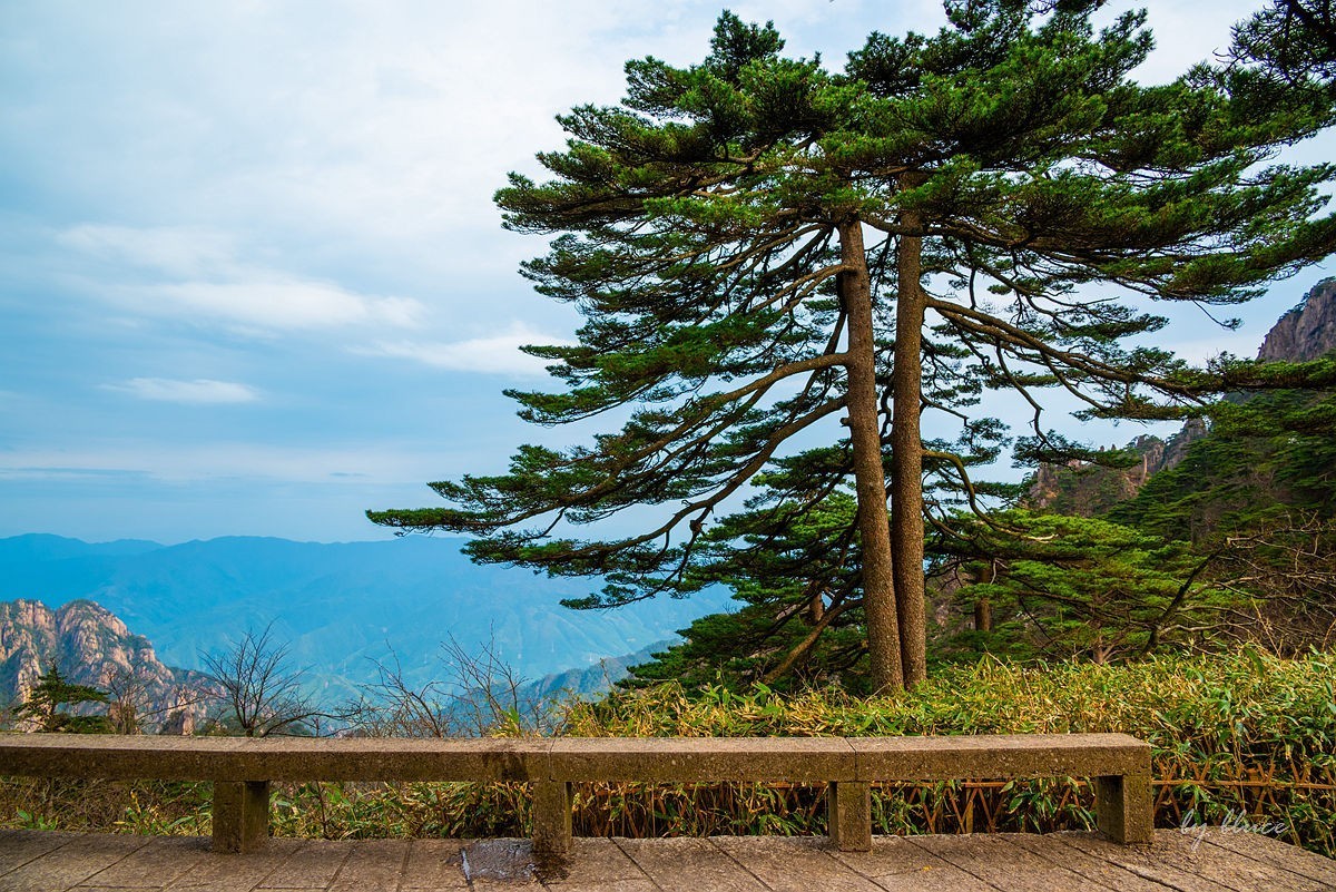 春游黄山（十）.......完