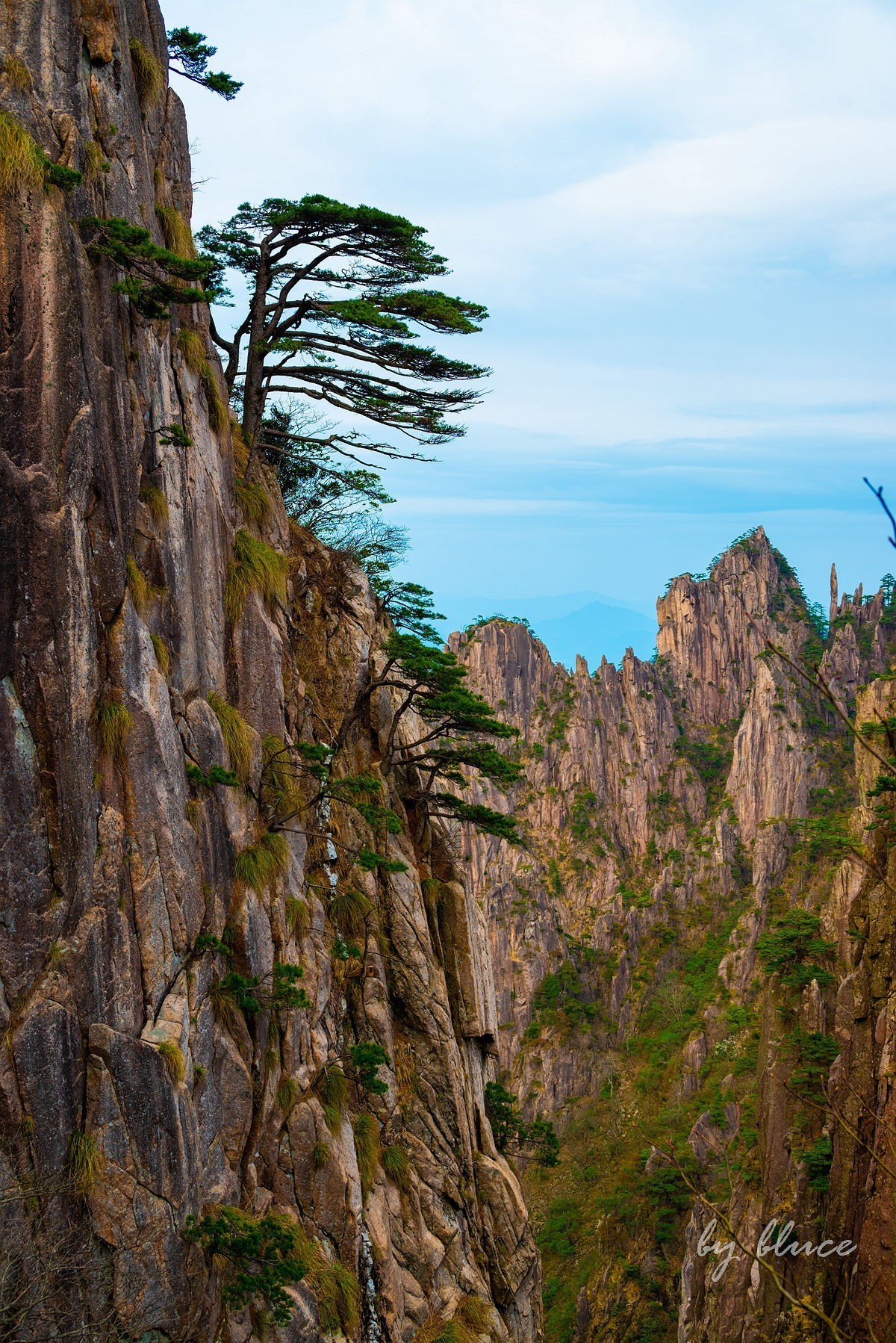 春游黄山（十）.......完