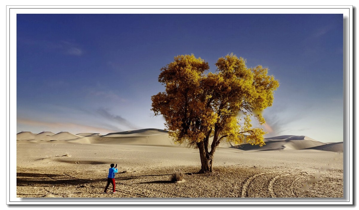 开往金秋的火车3