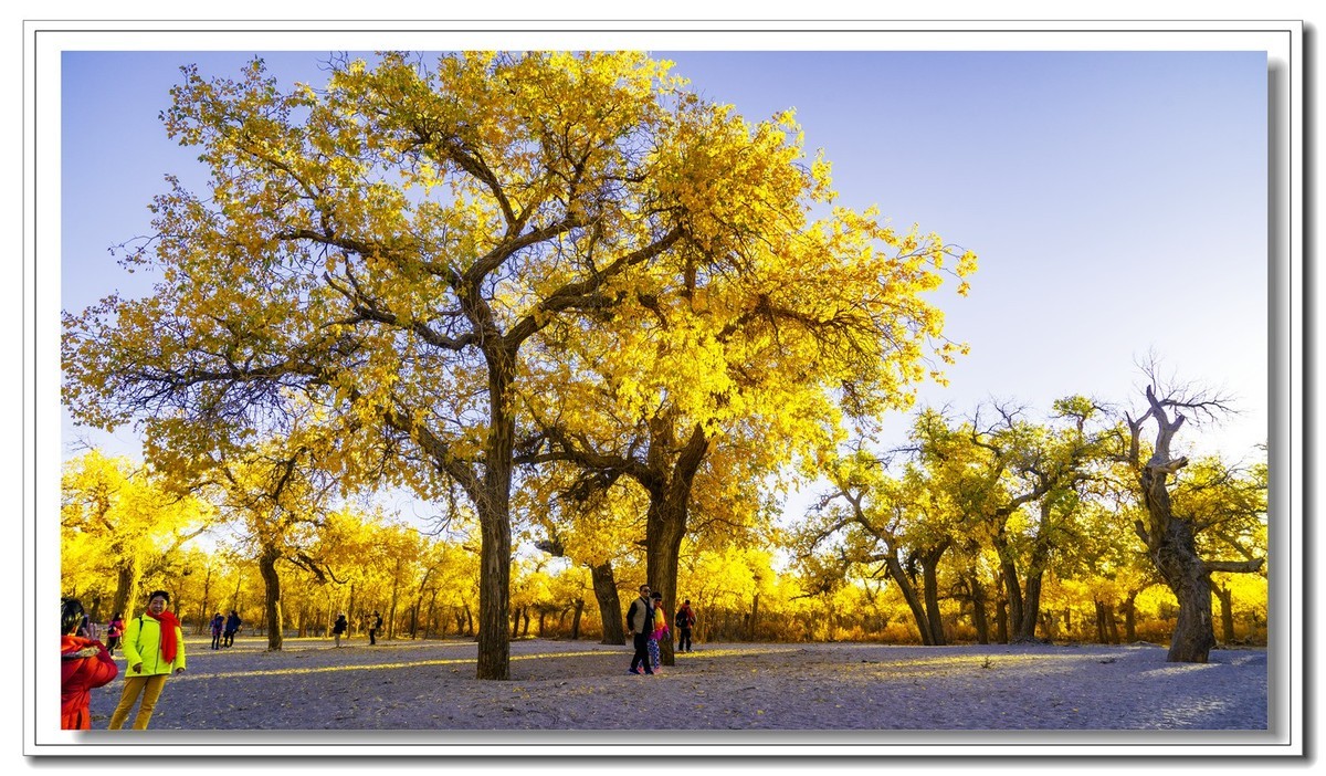 开往金秋的火车3