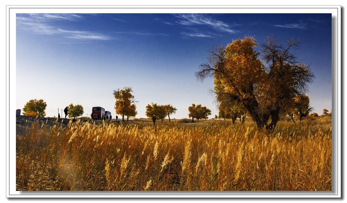 开往金秋的火车3