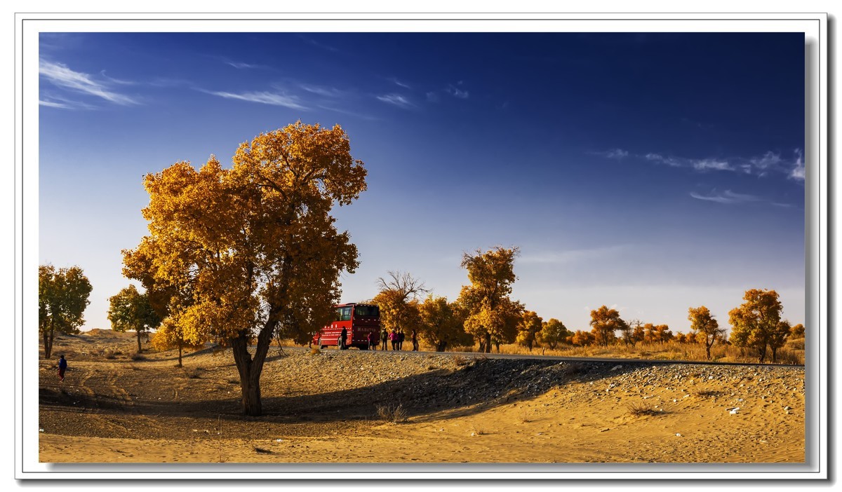 开往金秋的火车3