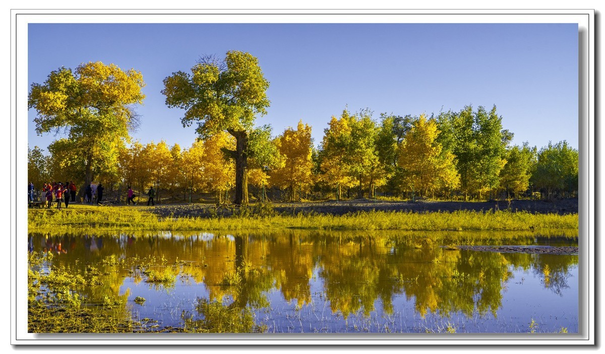 开往金秋的火车3