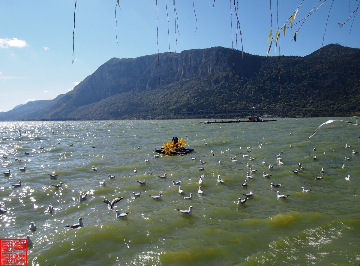 2023.12游滇池（11）