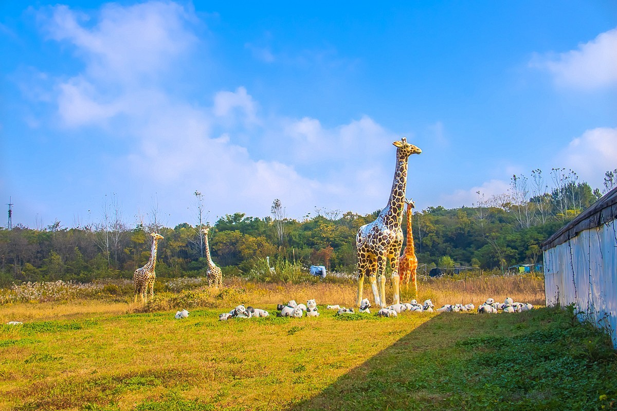 2024-11-12仪征白羊山户外猩球乐园（二）