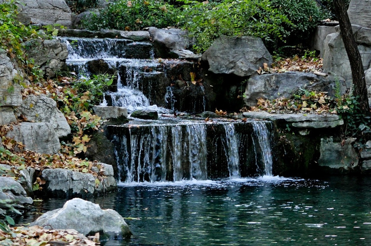 随拍——鱼水情