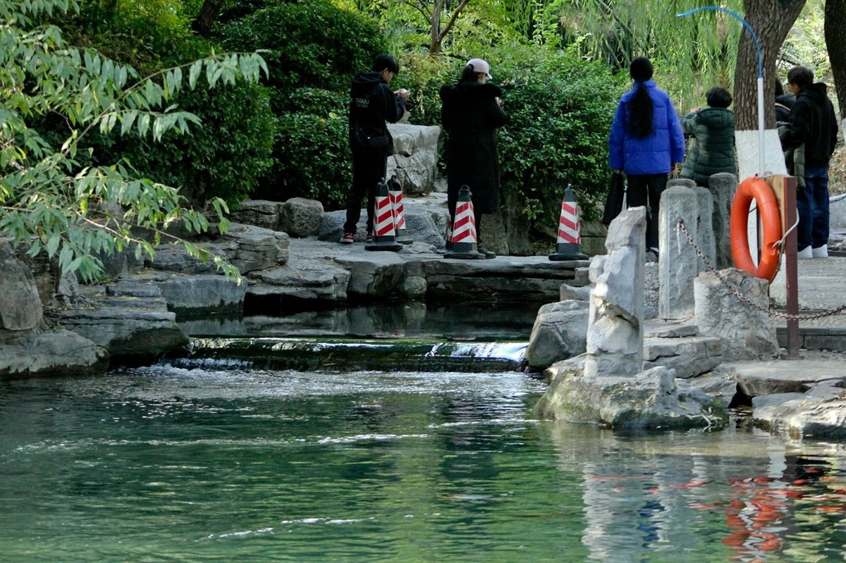 随拍——鱼水情