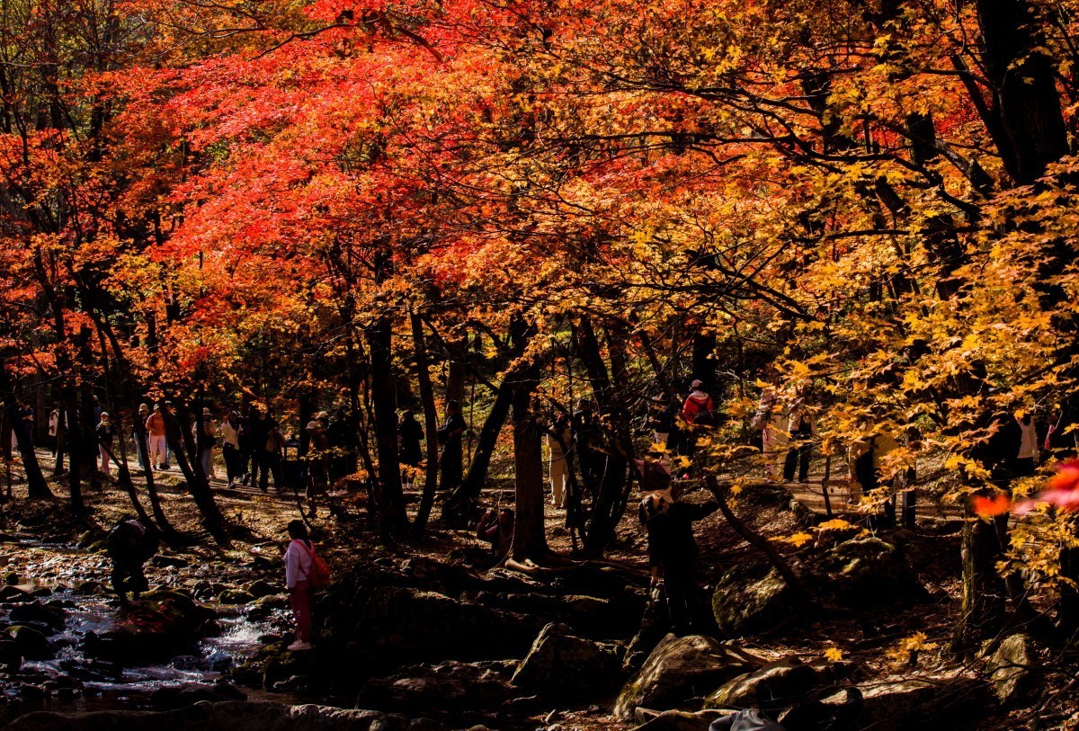 外出随拍（续300）.