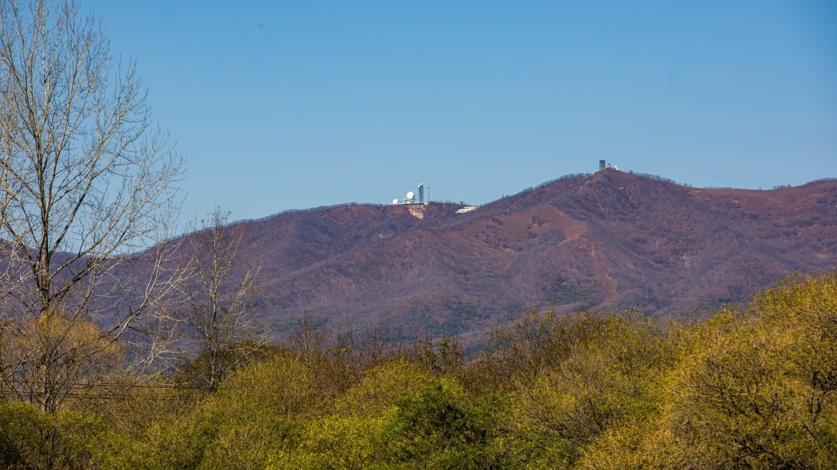 外出随拍（续299）.