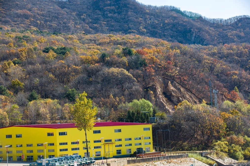 外出随拍（续299）.