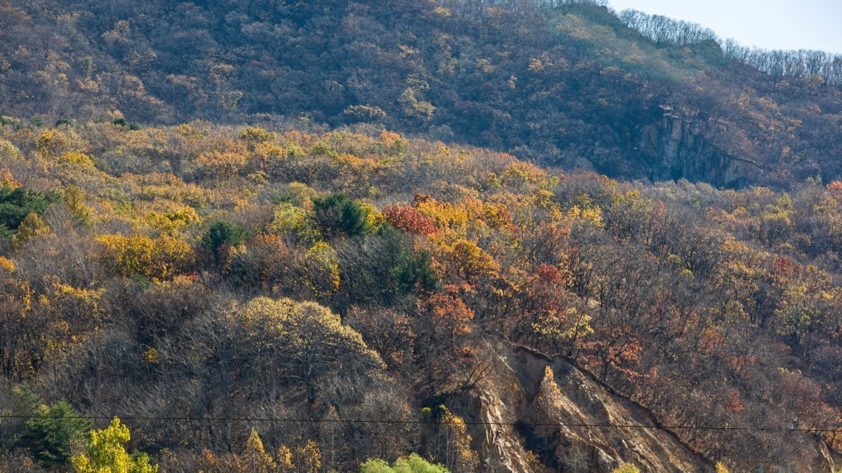 外出随拍（续299）.