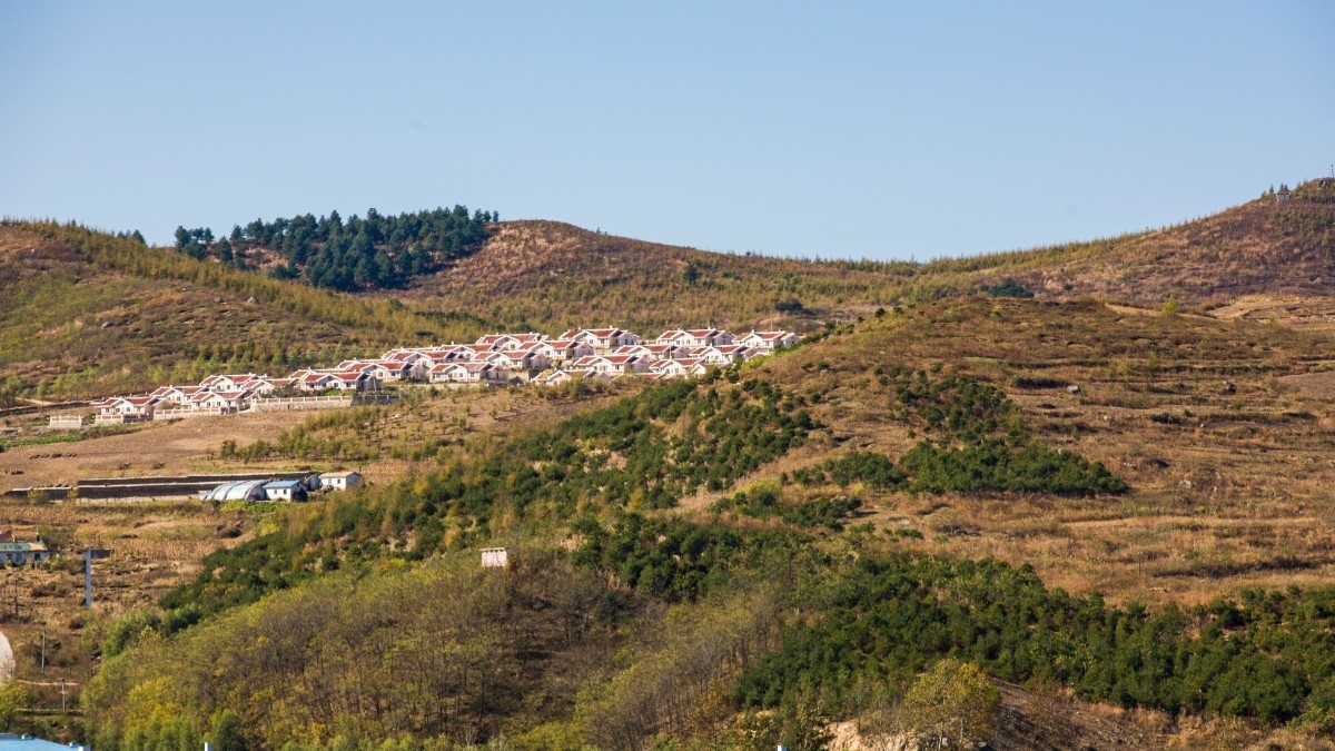 外出随拍（续299）.