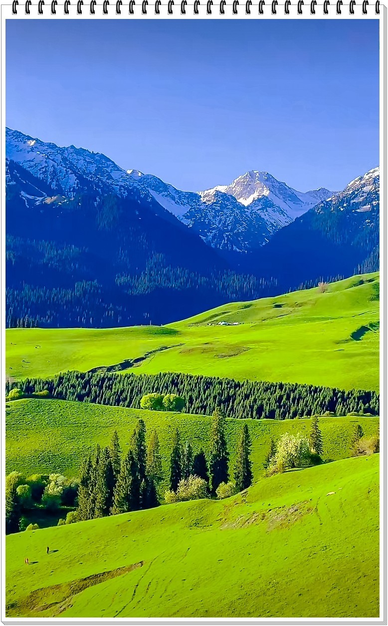 2025年- 新疆那拉提风光纪实抓拍-0411