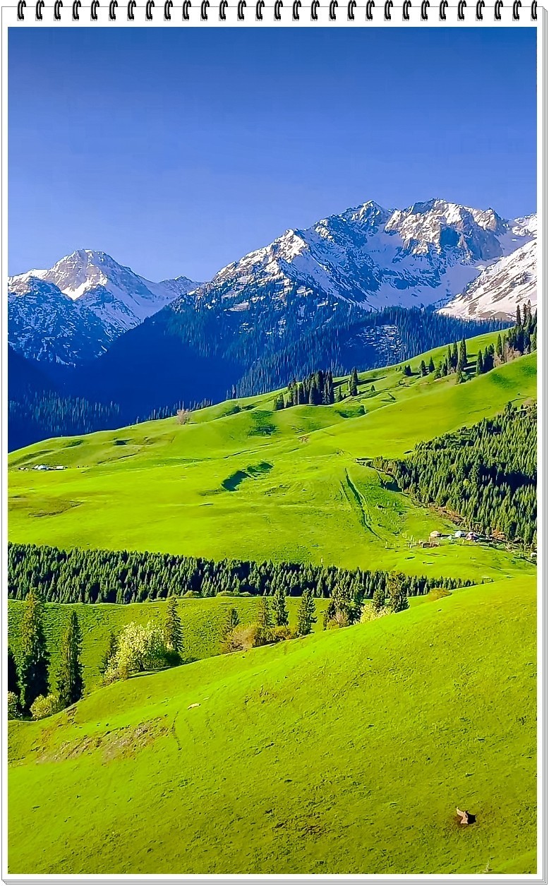 2025年- 新疆那拉提风光纪实抓拍-0411