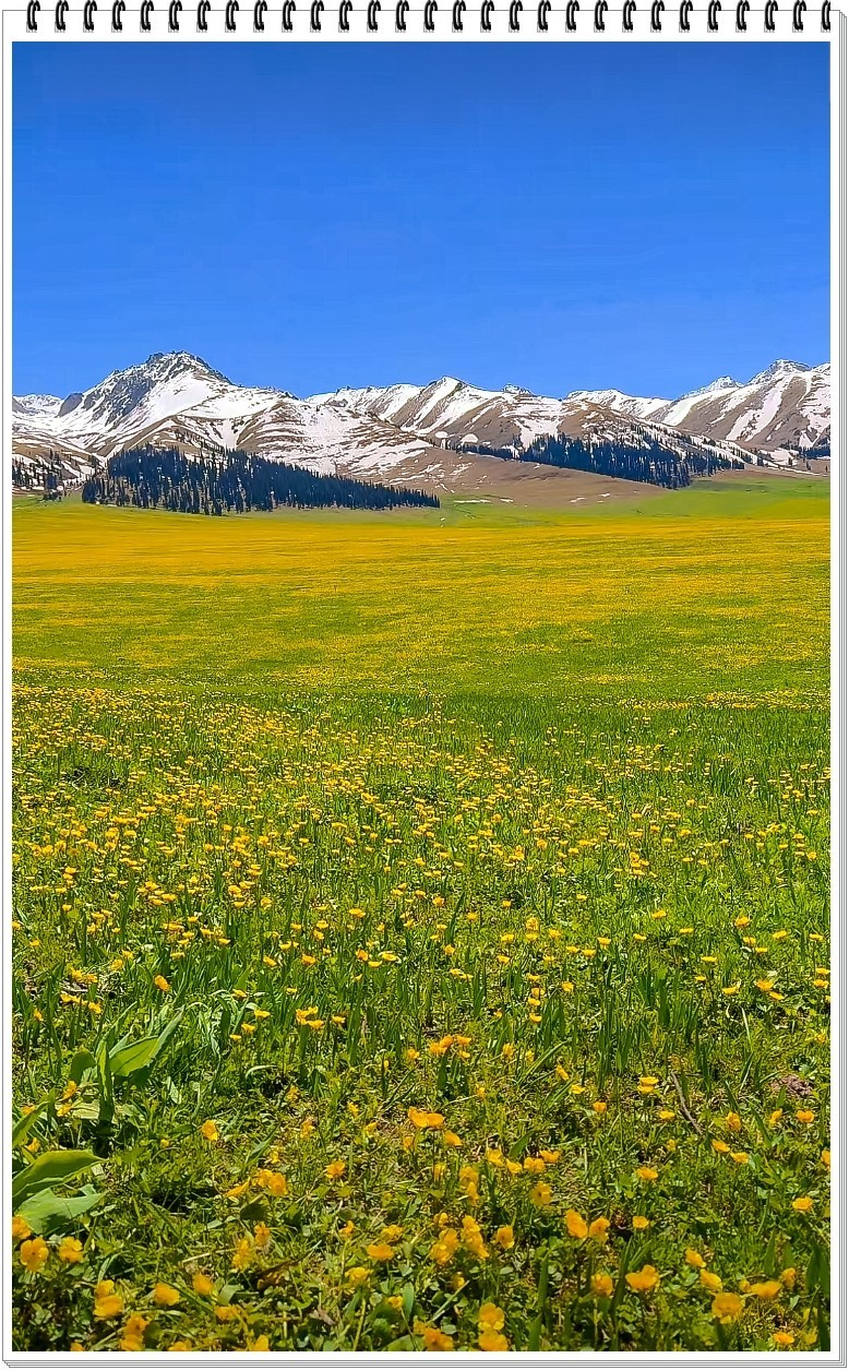 2025年- 新疆那拉提风光纪实抓拍-0411