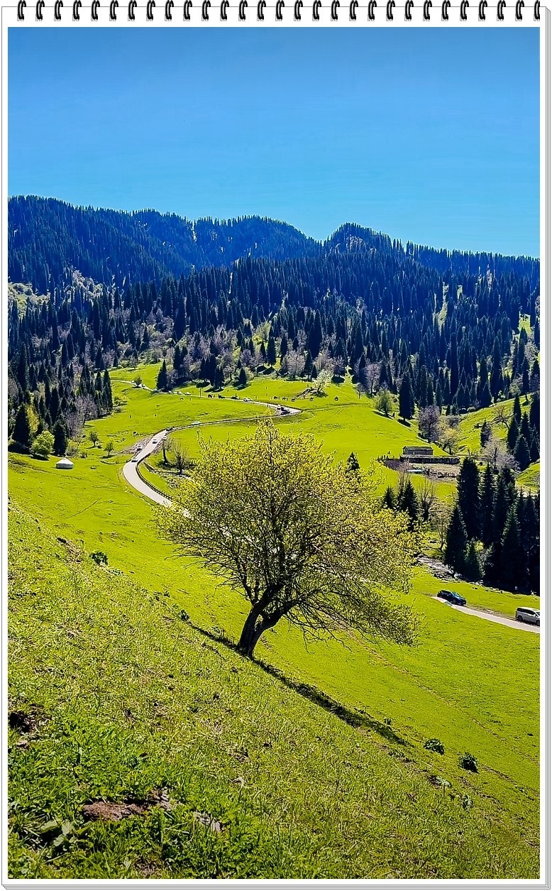 2025年- 新疆那拉提风光纪实抓拍-0411