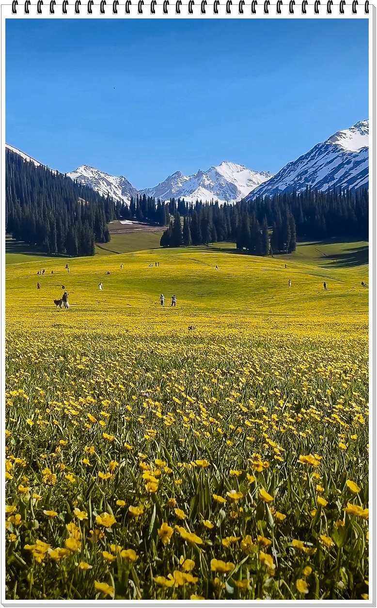 2025年- 新疆那拉提风光纪实抓拍-0411