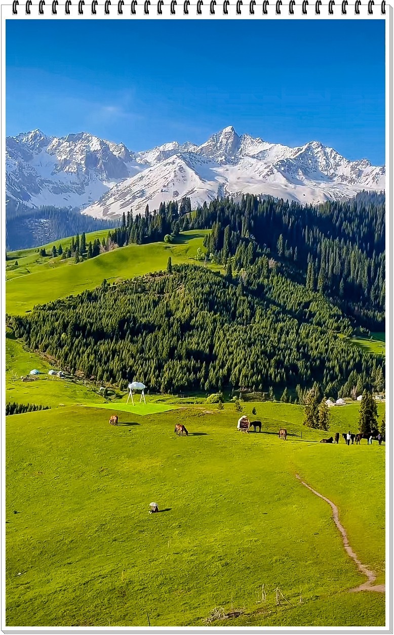 2025年- 新疆那拉提风光纪实抓拍-0411