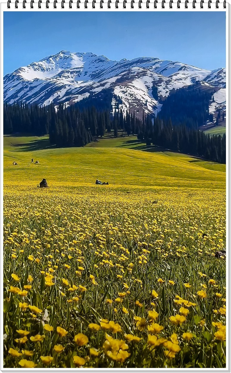 2025年- 新疆那拉提风光纪实抓拍-0411