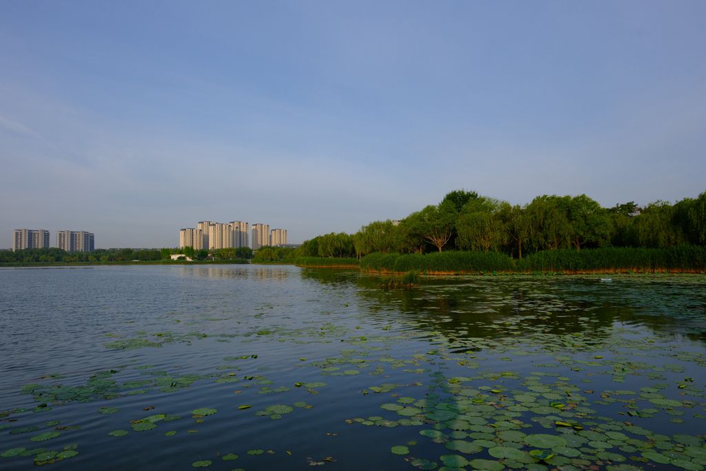 武清中央湖公园