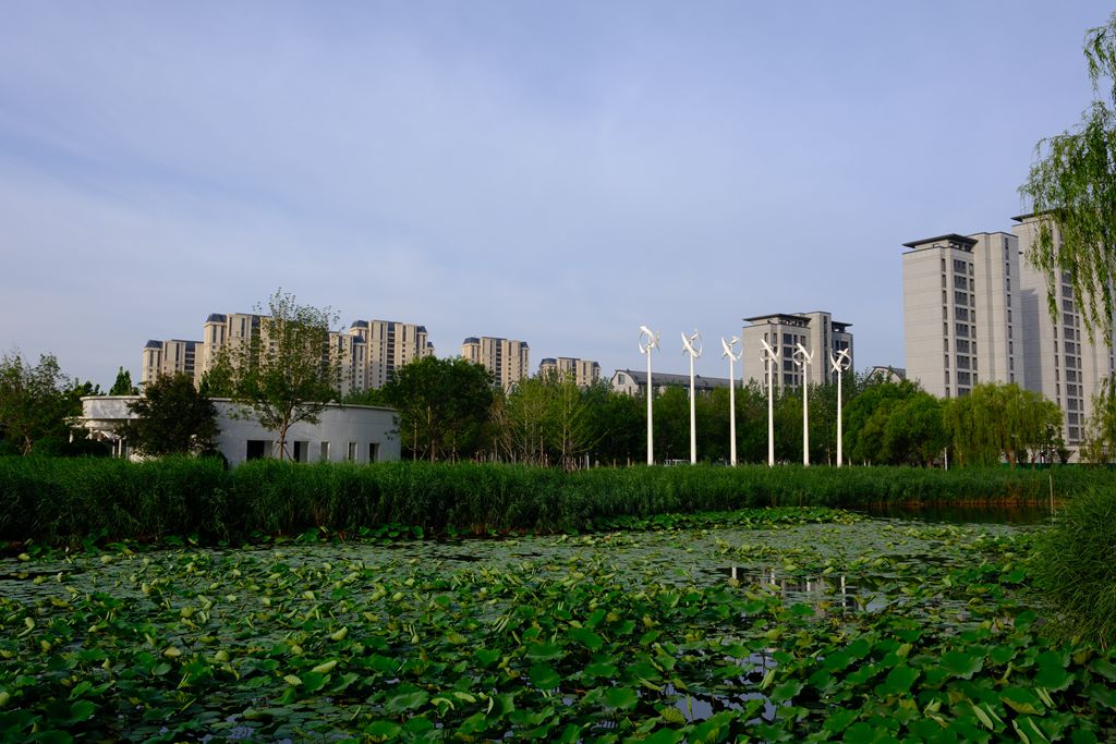 武清中央湖公园