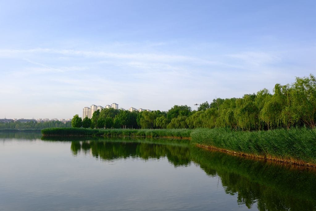 武清中央湖公园