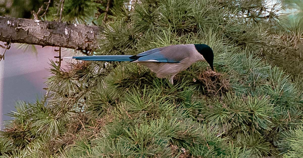 随                                  拍