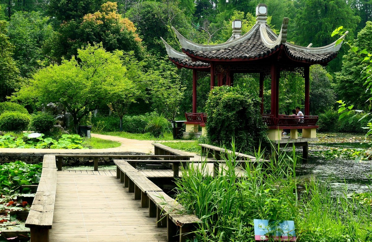 武汉植物园随拍一